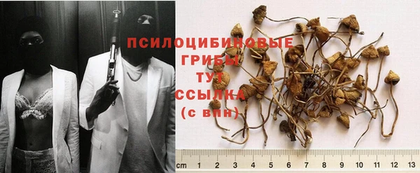 трава Кукмор