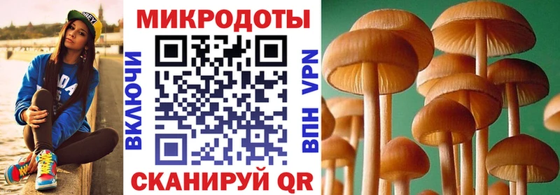 Псилоцибиновые грибы Cubensis  купить наркотики цена  маркетплейс наркотические препараты  Симферополь 