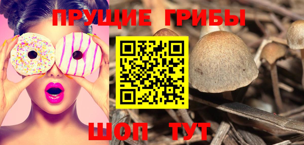 Псилоцибиновые грибы Magic Shrooms  купить наркотики цена  Симферополь  Вход с VPN 