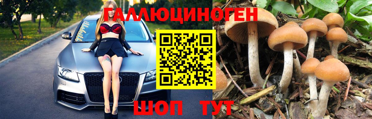 Галлюциногенные грибы прущие грибы Симферополь