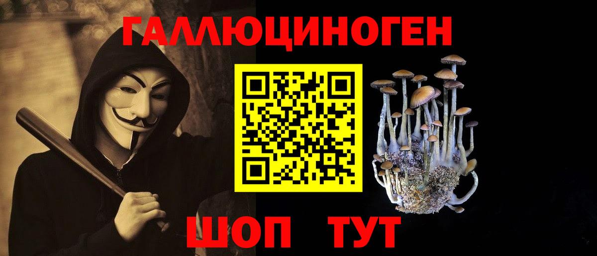 Псилоцибиновые грибы Cubensis  Симферополь 